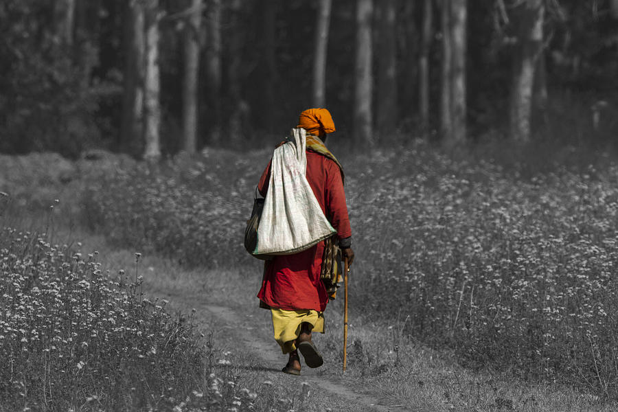 Wandering Holy Man Photograph by Ramabhadran Thirupattur
