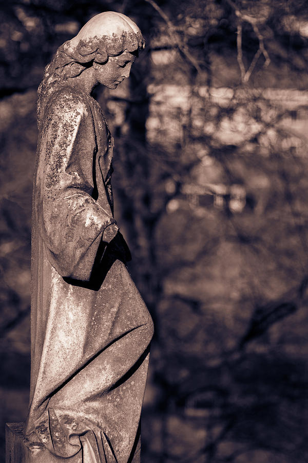 Wandering Lady of Myrtle Hill BW Photograph by James L Bartlett