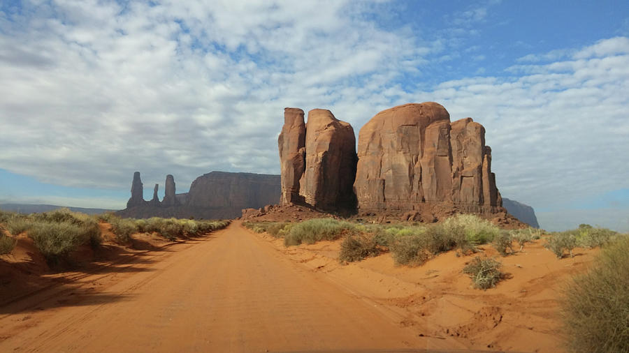 Wandering Through Monument Valley Photograph by Liza Eckardt