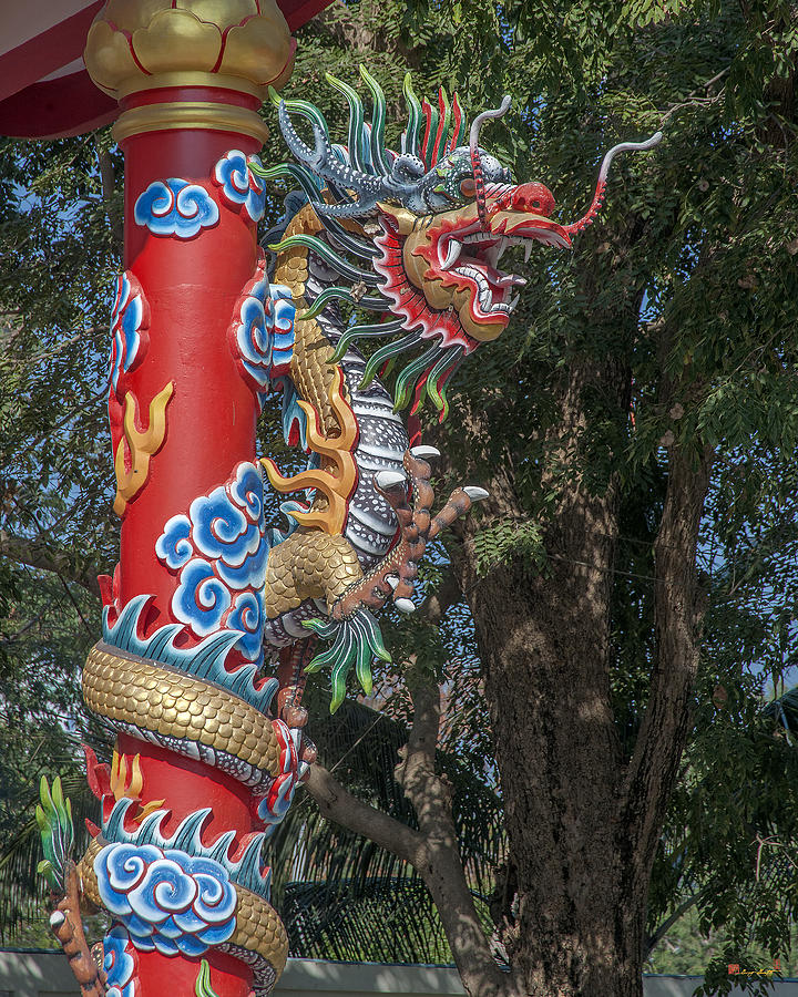 Wang Sam Sien Lao Tzu Shrine Dragon Pillar DTHCB0034 Photograph by Gerry Gantt