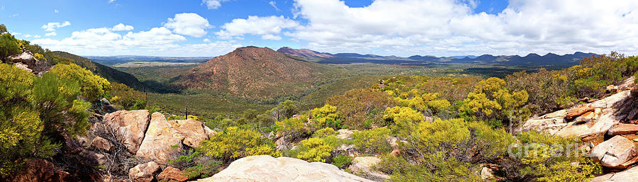 Wangara Hill Flinders Ranges South Australia Photograph by Bill Robinson