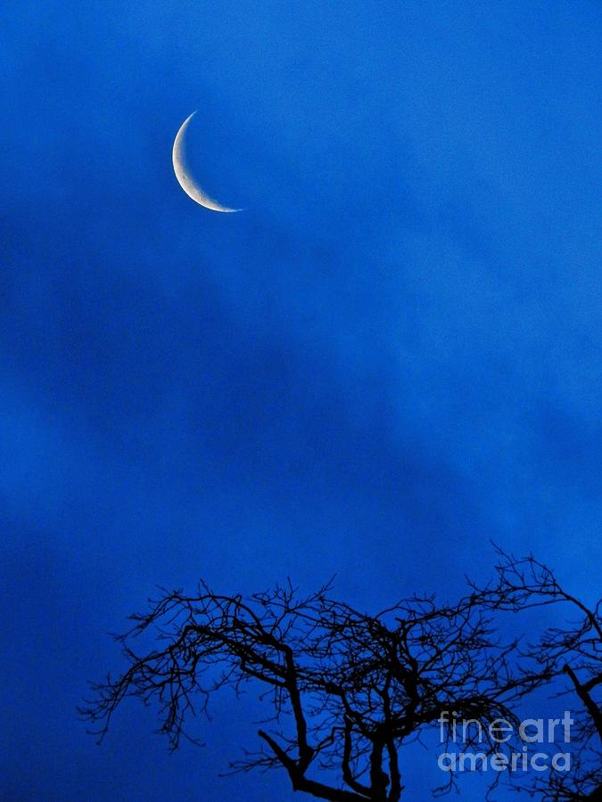 Waning Crescent Photograph by Peggy Hughes