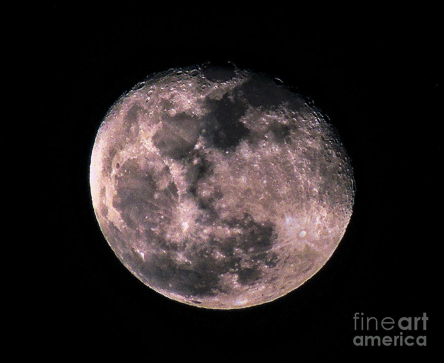 Waning Gibbous Moon Photograph by Mim White