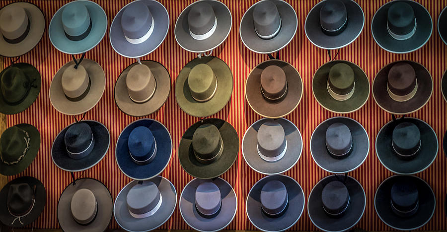 Collection Photograph - Wanna hat? by Peter Hayward Photographer