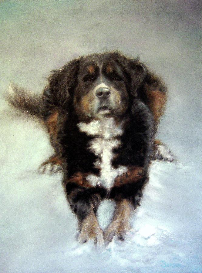 Bernese Mountain Dog Painting - Wanna Play? by James Berger Bernese Mountain Dog Painting - Wanna Play? by James Berger