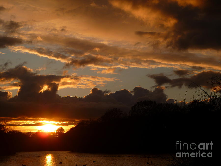 Wanstead Park Sunset Photograph by Vicki Spindler