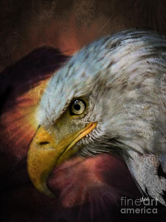 War Eagle Digital Art by Maria Urso