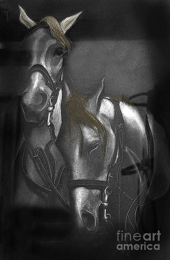 Horse Photograph - War Horses by Al Bourassa