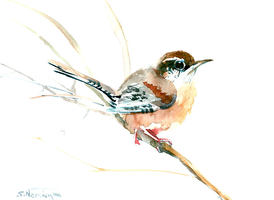 Warbler Painting - Warbler songbird art  by Suren Nersisyan