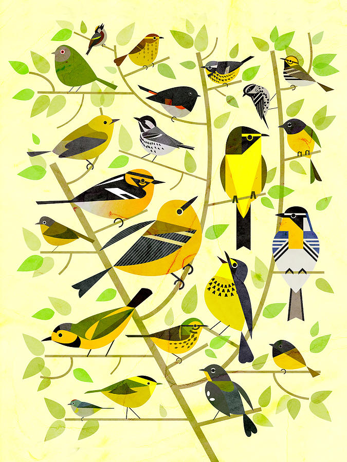Bird Digital Art - Warblers 1 by Scott Partridge