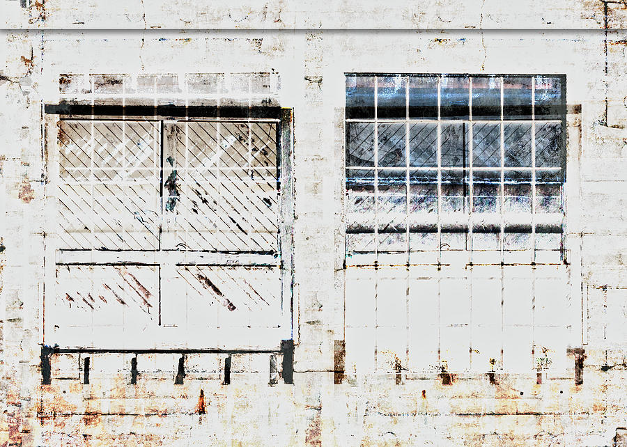 Warehouse Mixed Media - Warehouse Doors and Windows by Carol Leigh