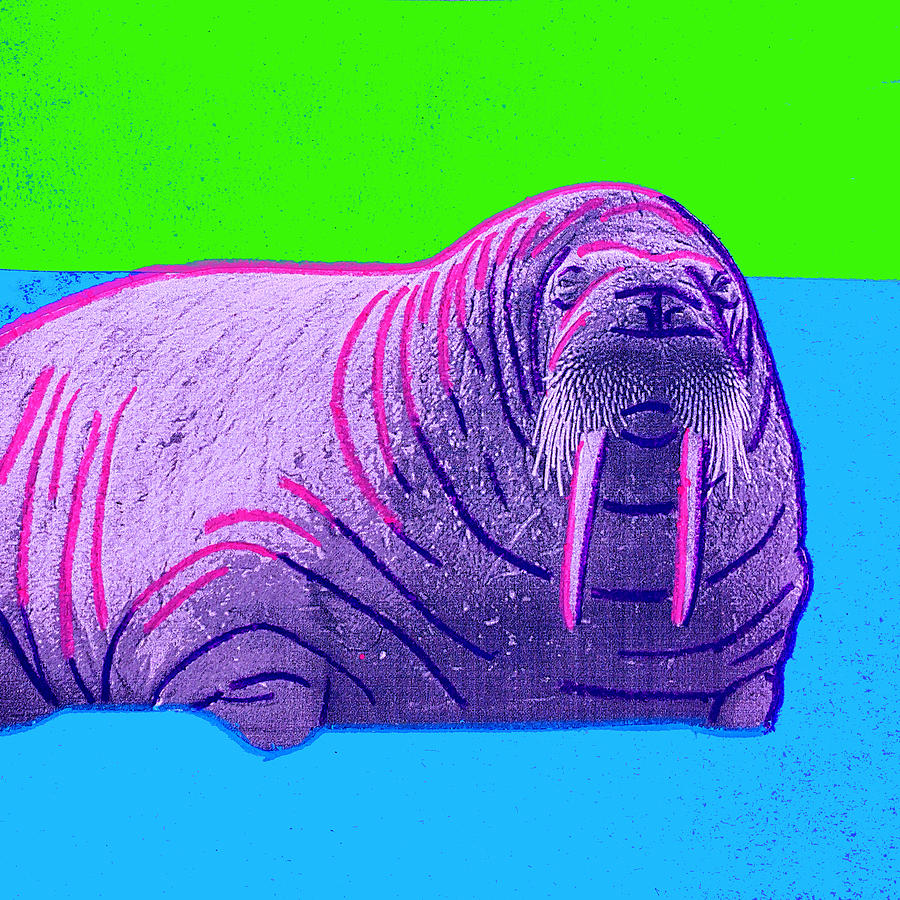 Warhol Style Walrus Photograph by Eric Gibbons