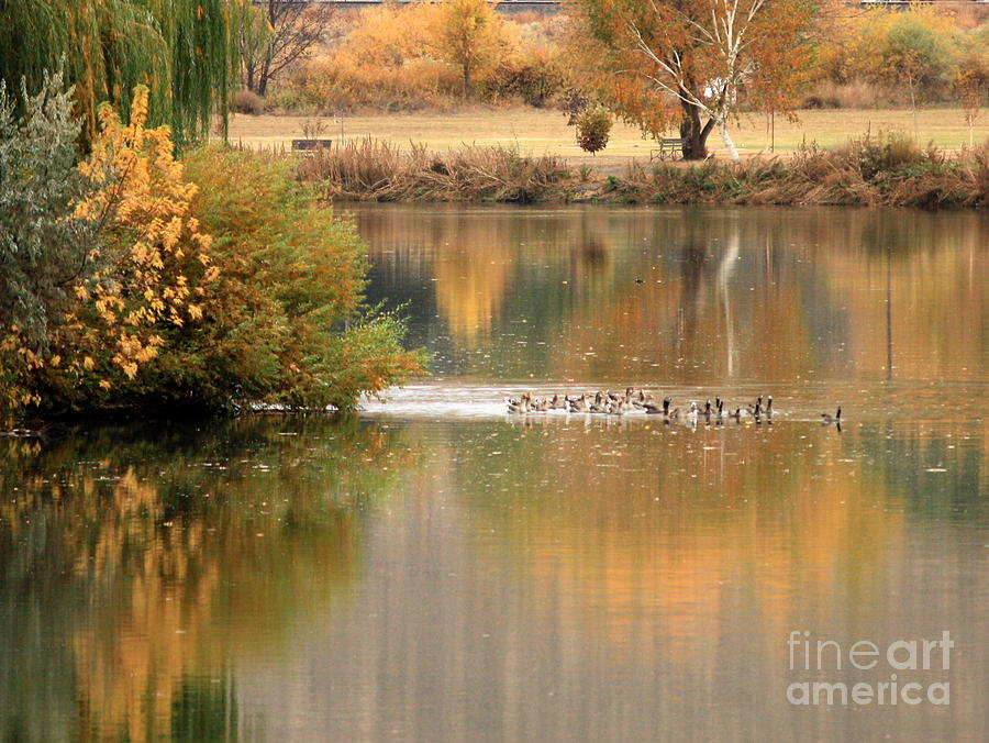 Warm Autumn River Photograph