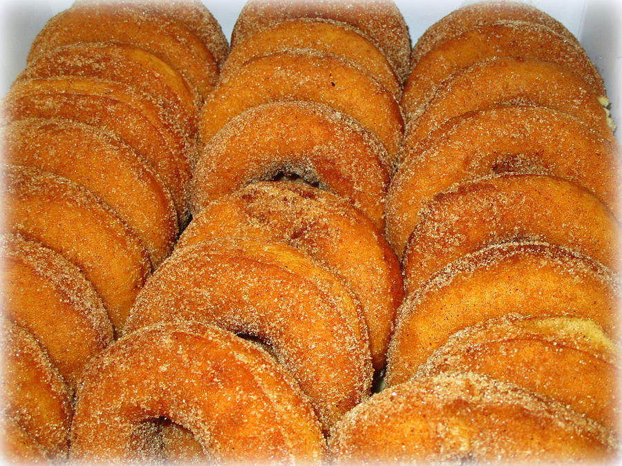 Warm Cider Donuts Photograph by Suzanne DeGeorge