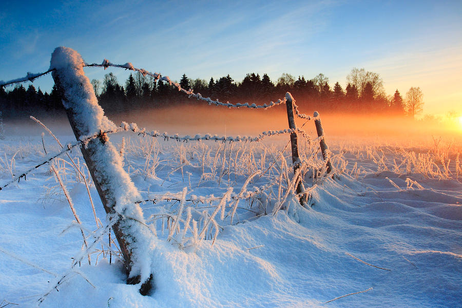 Winter Photograph - Warm cold winter sunset by Romeo Koitmae
