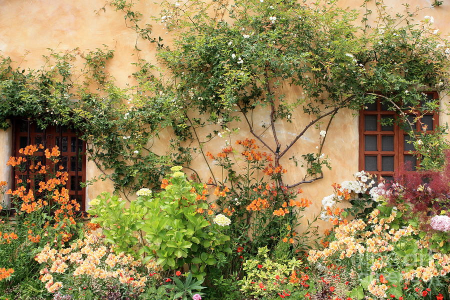 Carmel Mission Photograph - Warm Colors in Mission Garden by Carol Groenen Carmel Mission Photograph - Warm Colors in Mission Garden by Carol Groenen