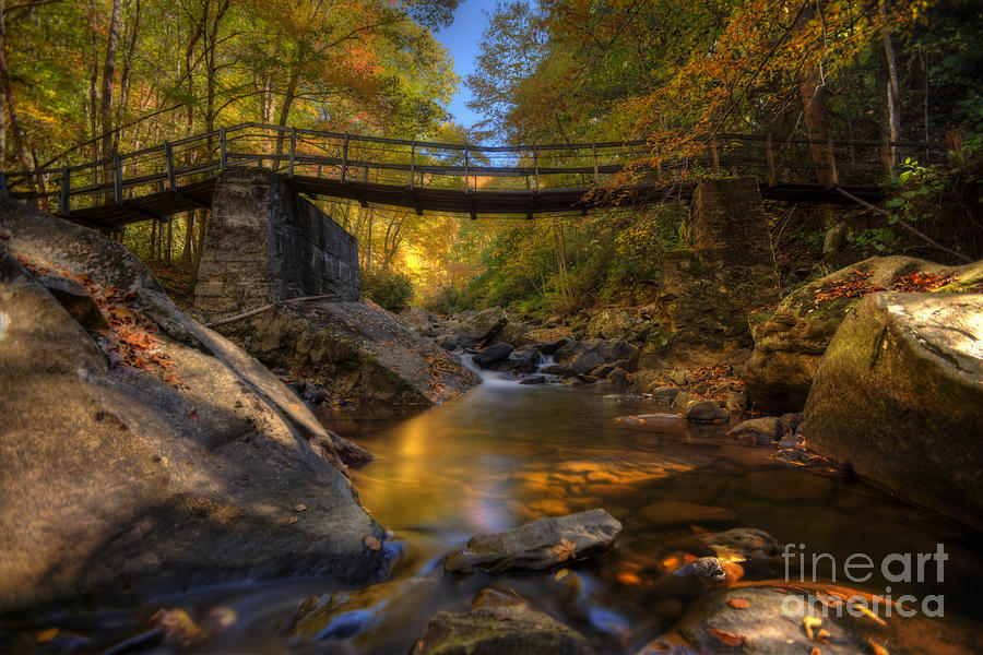 Warm fall scene of stream under a bridge Photograph by Dan Friend