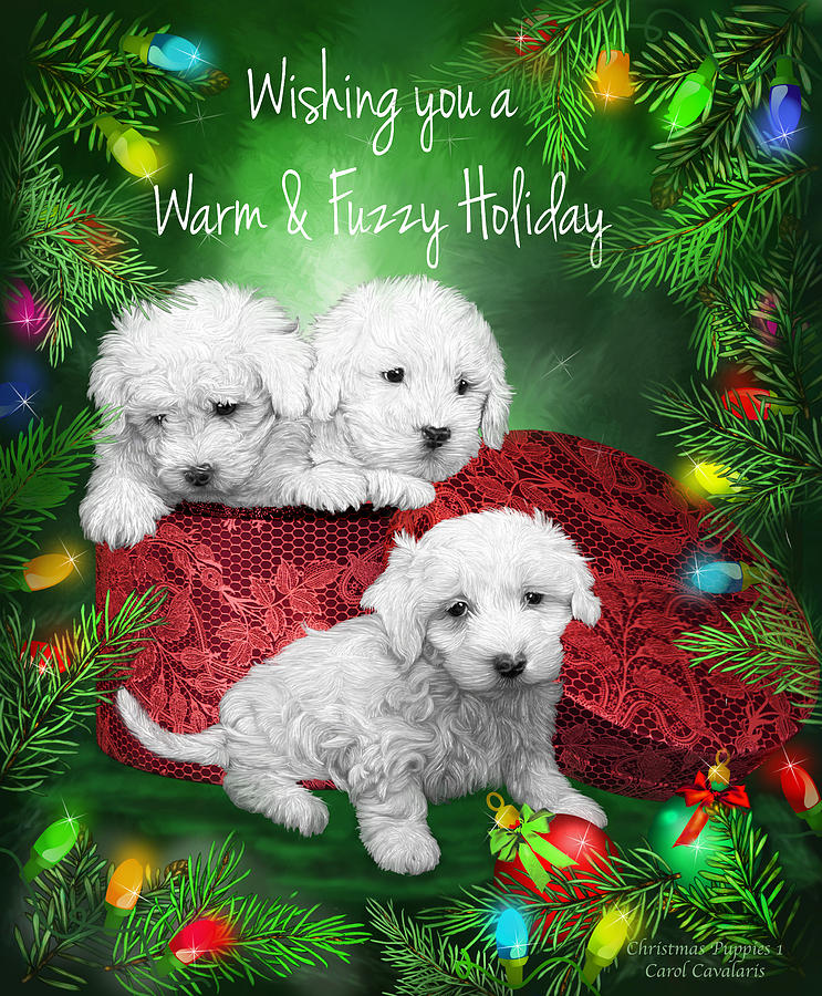 Warm Fuzzy Holiday Mixed Media by Carol Cavalaris