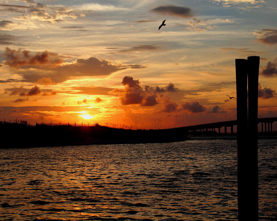 Warm Harbor Photograph by Larry Beat