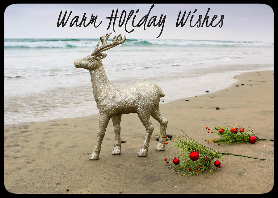 Warm Holiday Wishes Photograph by Alison Frank