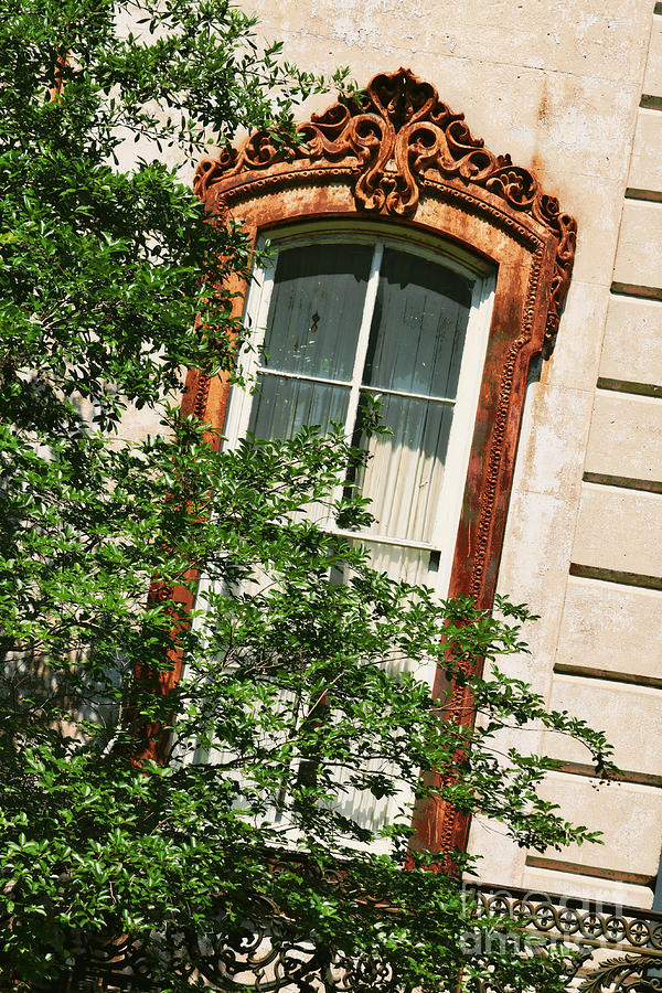 Warm Savannah Window - Digital Art Photograph by Carol Groenen