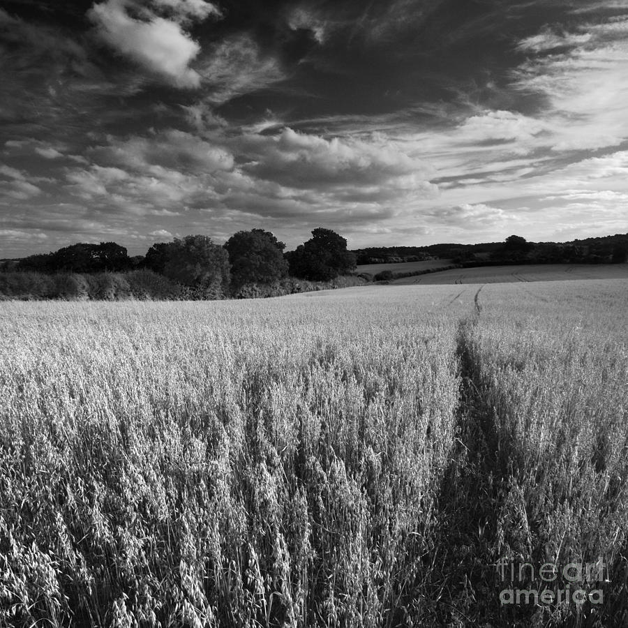 Landscape Photograph - warm September Birmingham landscape 3 by Paul Davenport