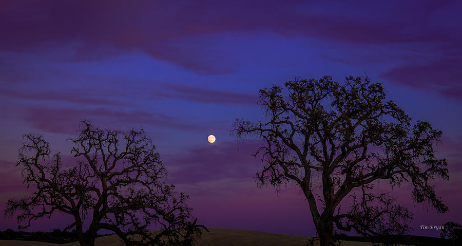 Sunset Photograph - Warm September Night by Tim Bryan