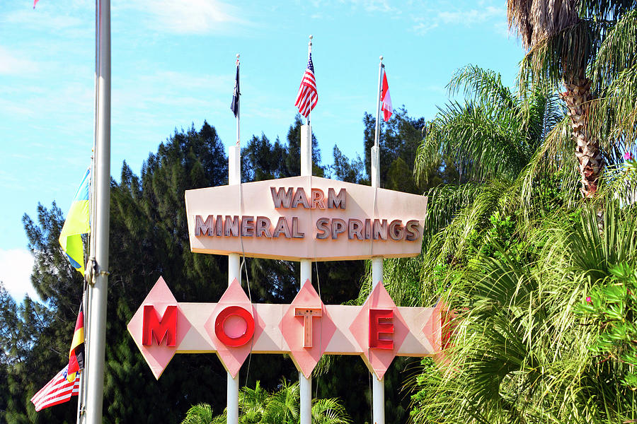 Warm Springs Motel Sign Photograph by David Lee Thompson