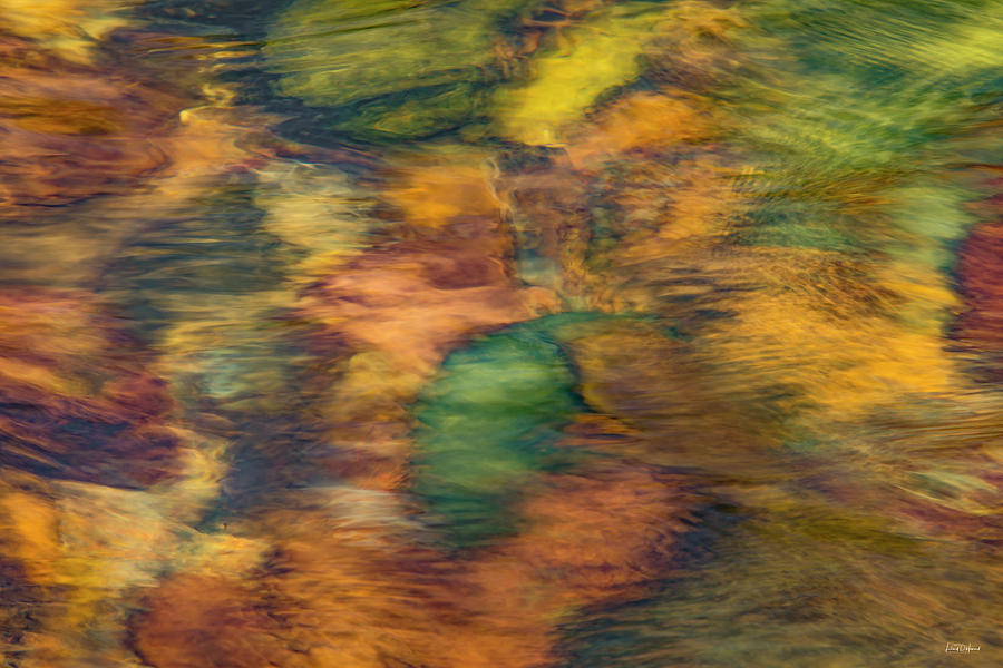 Warm Sunlit Waterscape Photograph by Leland D Howard