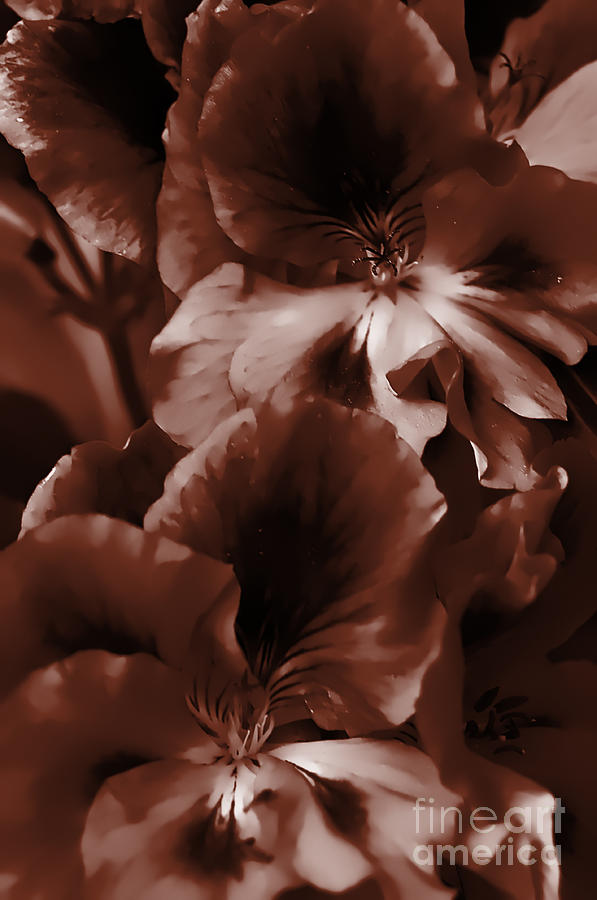Warm Tone Monochrome Floral Art Photograph by Clayton Bruster