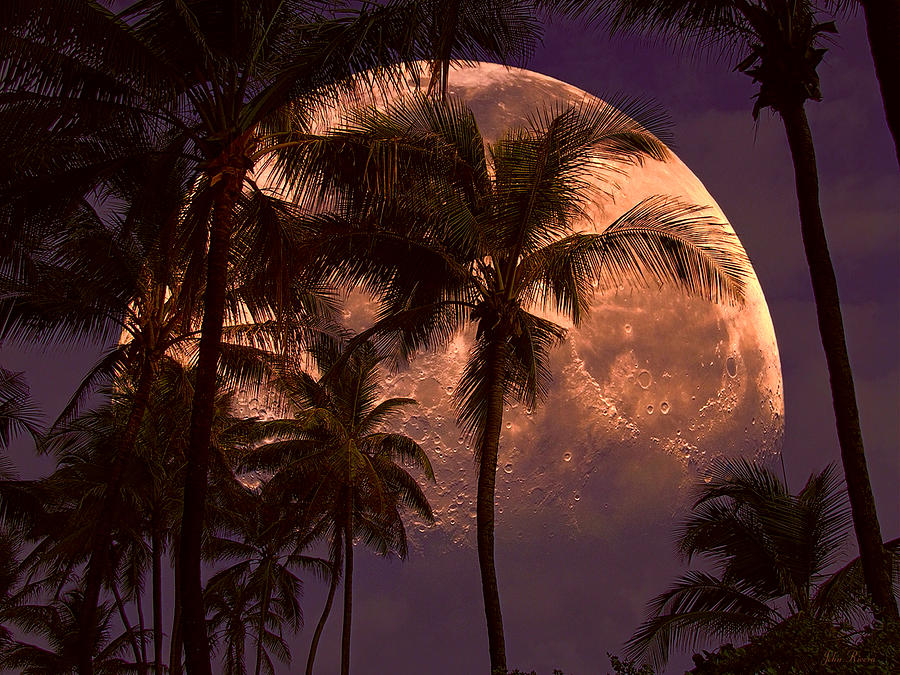 Warm Tropical Nights Photograph by John Rivera