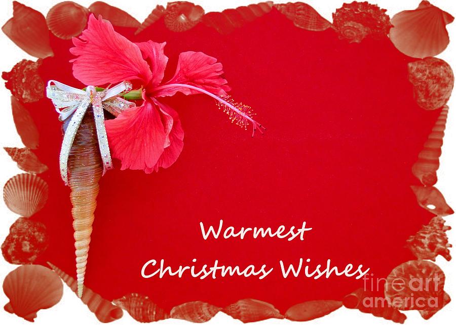 Warmest Christmas Wishes Photograph by Barbie Corbett-Newmin