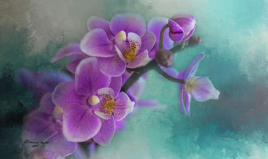 Orchid Photograph - Warms The Heart by Marvin Spates