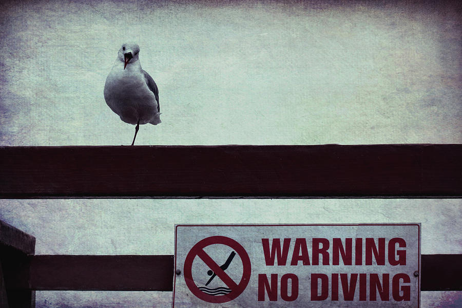 Warning No Diving 4 Photograph by Ernest Echols