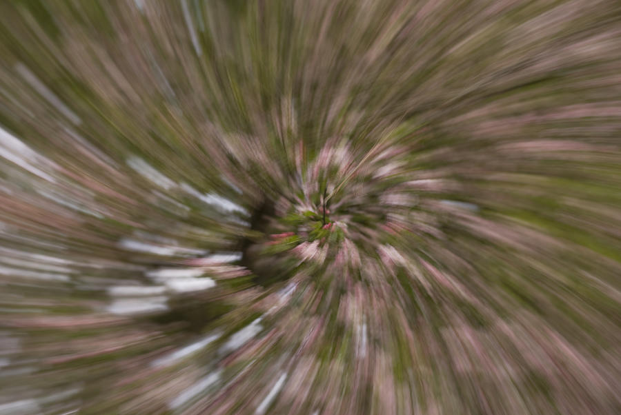 Warp Speed Spiral Photograph by Michael Wall | Fine Art America