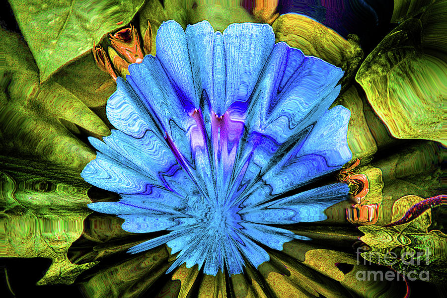 Warped Petunia by Irene Dowdy Warped Petunia by Irene Dowdy