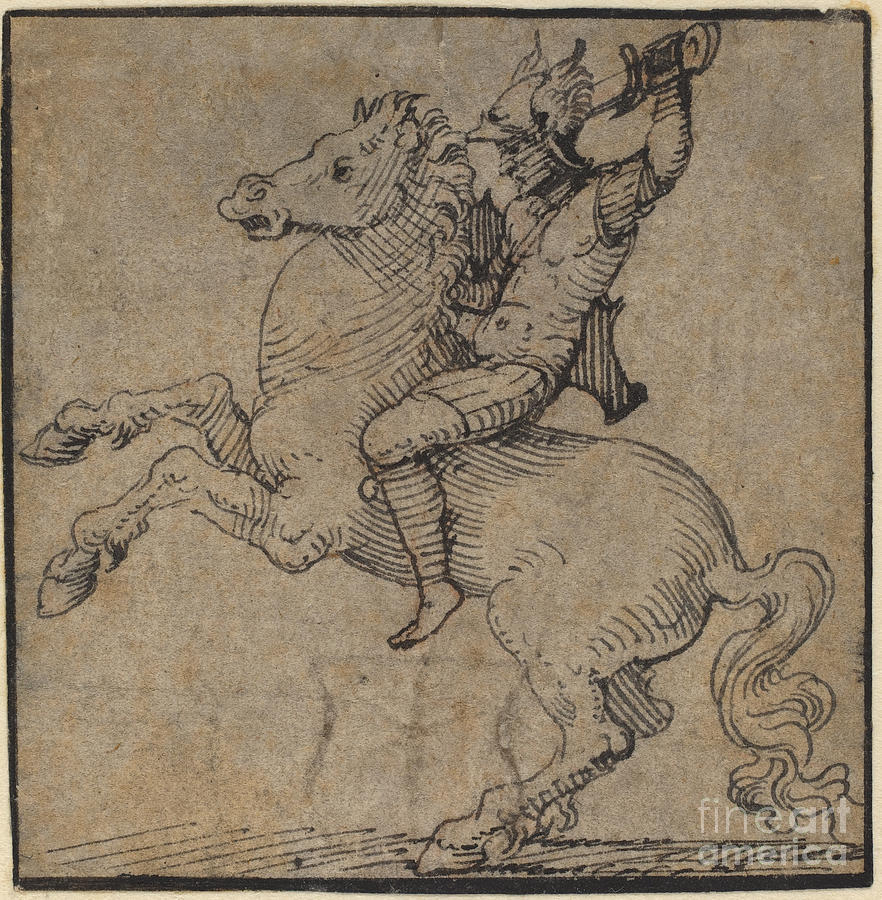 warrior in renaissance armor on a rearing horse drawing by workshop of peter vischer the younger warrior in renaissance armor on a rearing horse by workshop of peter vischer the younger