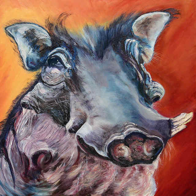 Warthog Painting by Susan Heather - Fine Art America