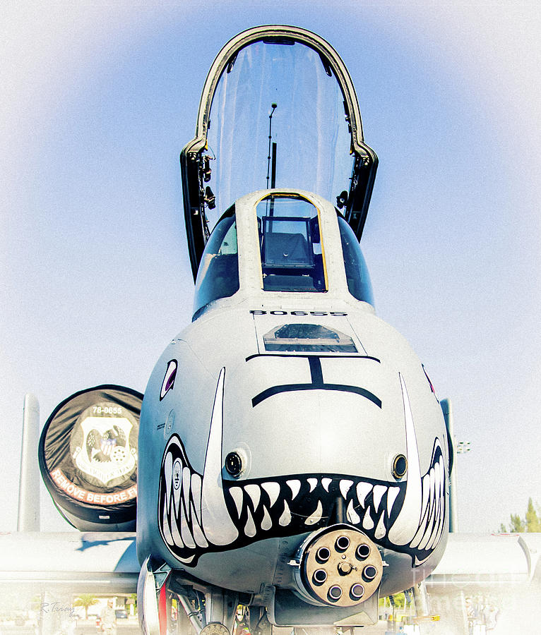 The A-10 Warthog Up Close and Personal Photograph by Rene Triay FineArt Photos