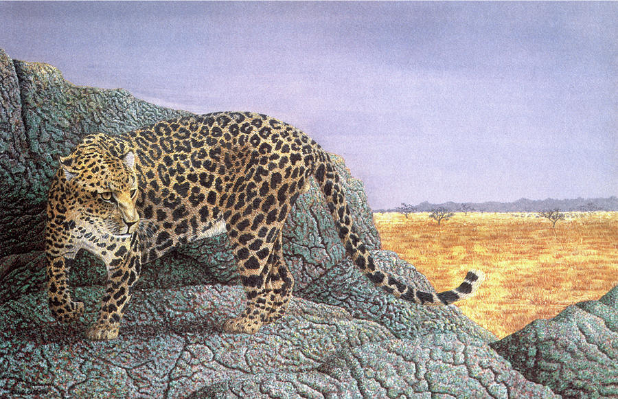 Wildlife Painting - Wary Eyes - Leopard by Craig Carlson