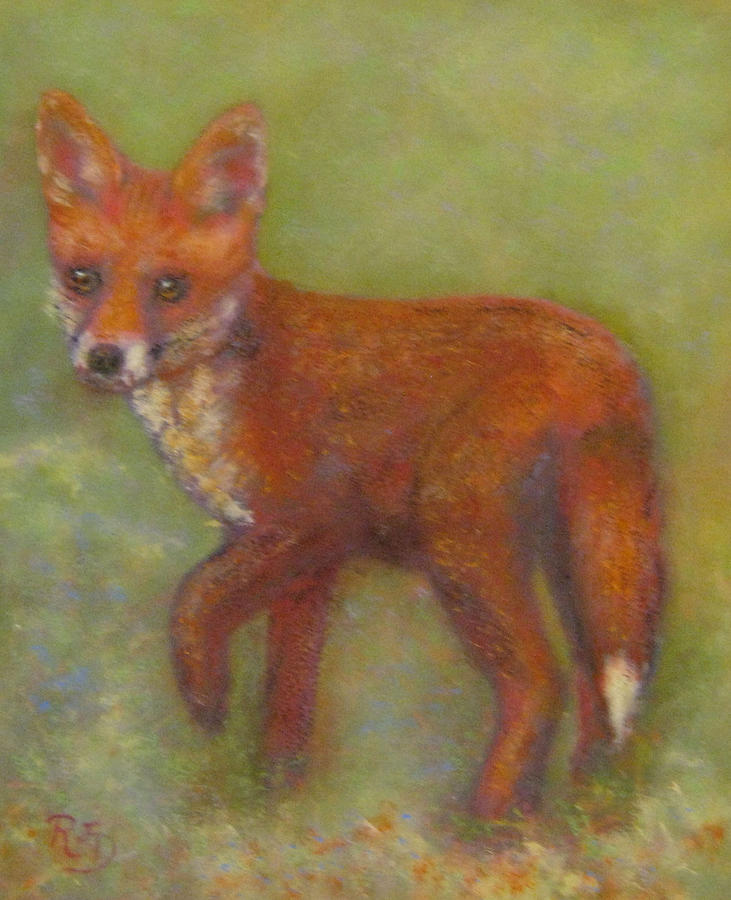 Wary Fox Cub Painting by Richard James Digance