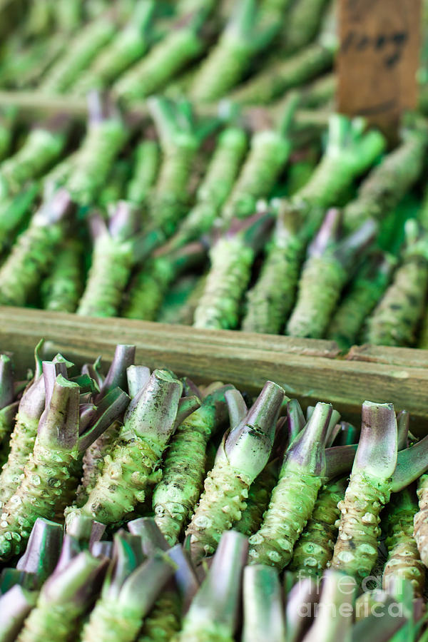Wasabi Root For Sale In A Typical Japanese Market Photograph