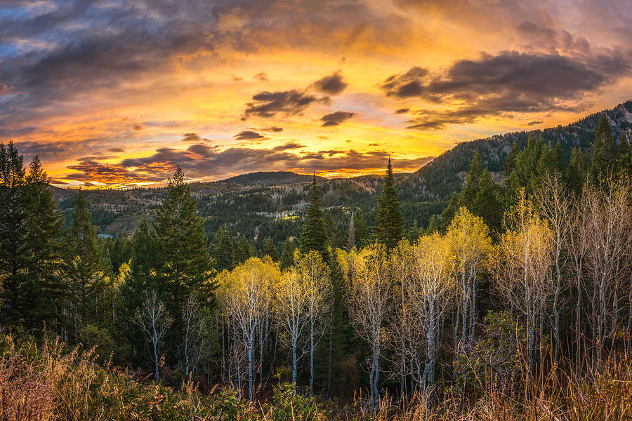 Wasatch Autumn Sunrise Photograph by James Udall