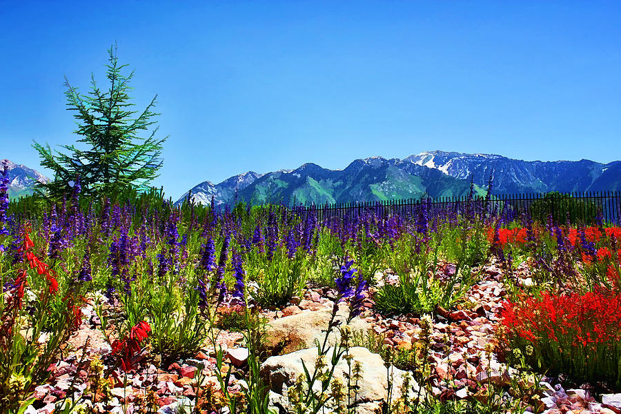Wasatch Mountains In Spring Photograph by Tracie Schiebel