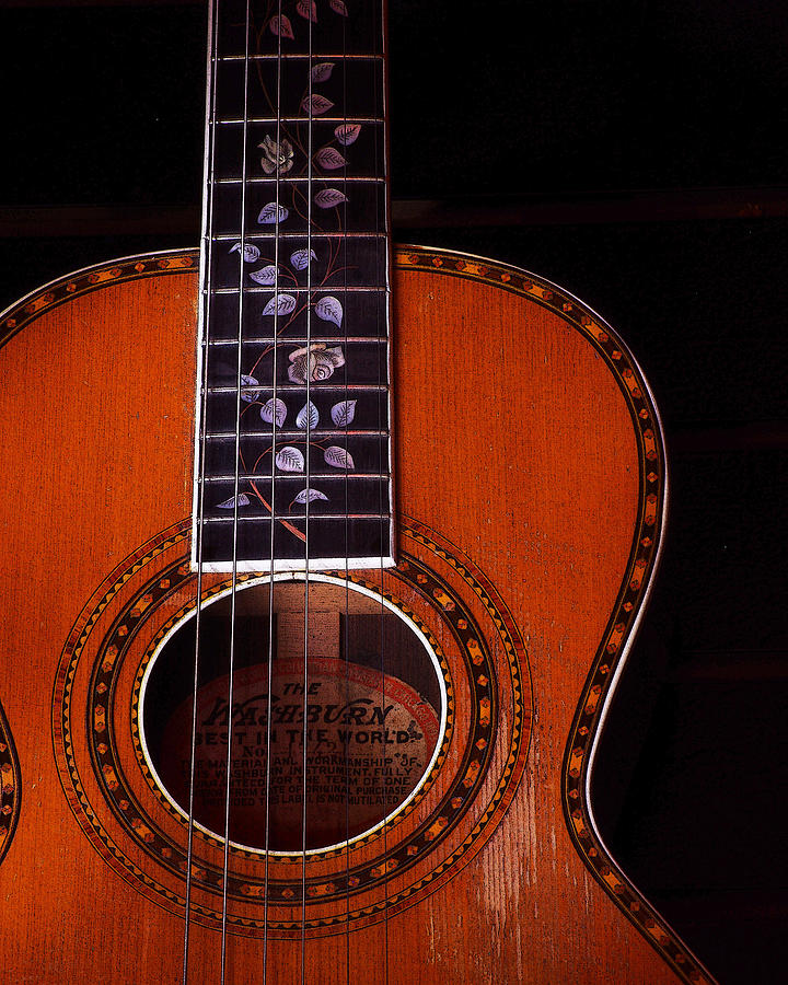 Washburn Guitar Photograph by Jim Mathis