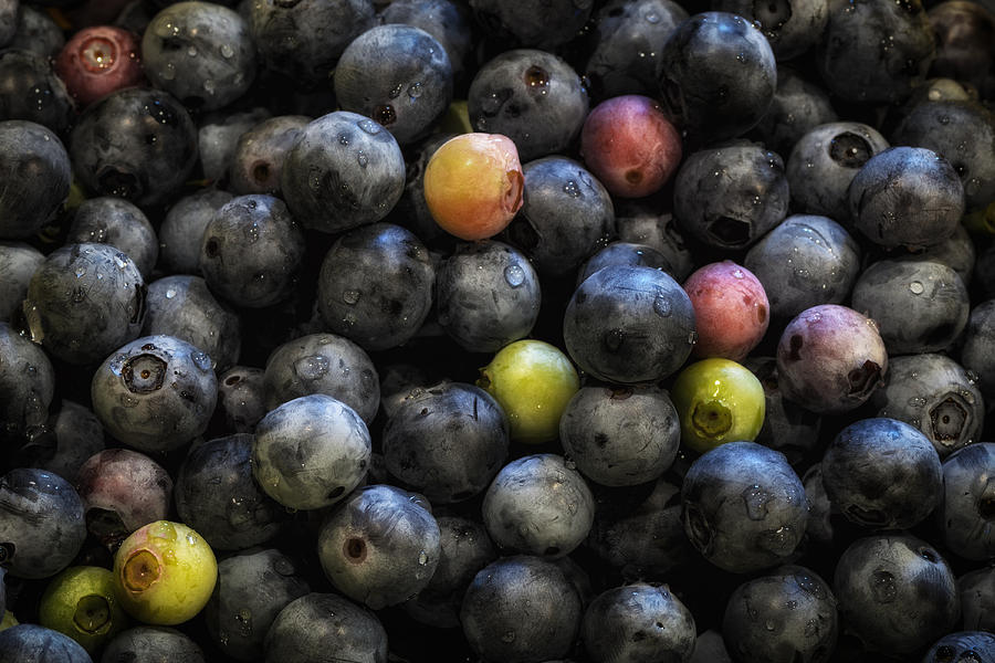 Washed Blueberries Photograph by James Barber