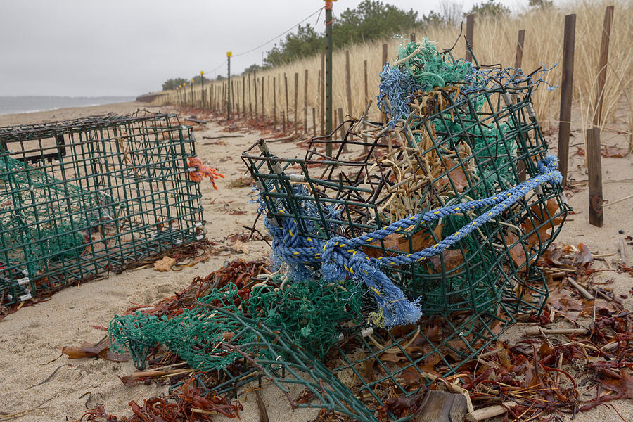 Beach Photograph - Washed Up Lobster Trap by Kirkodd Photography Of New England
