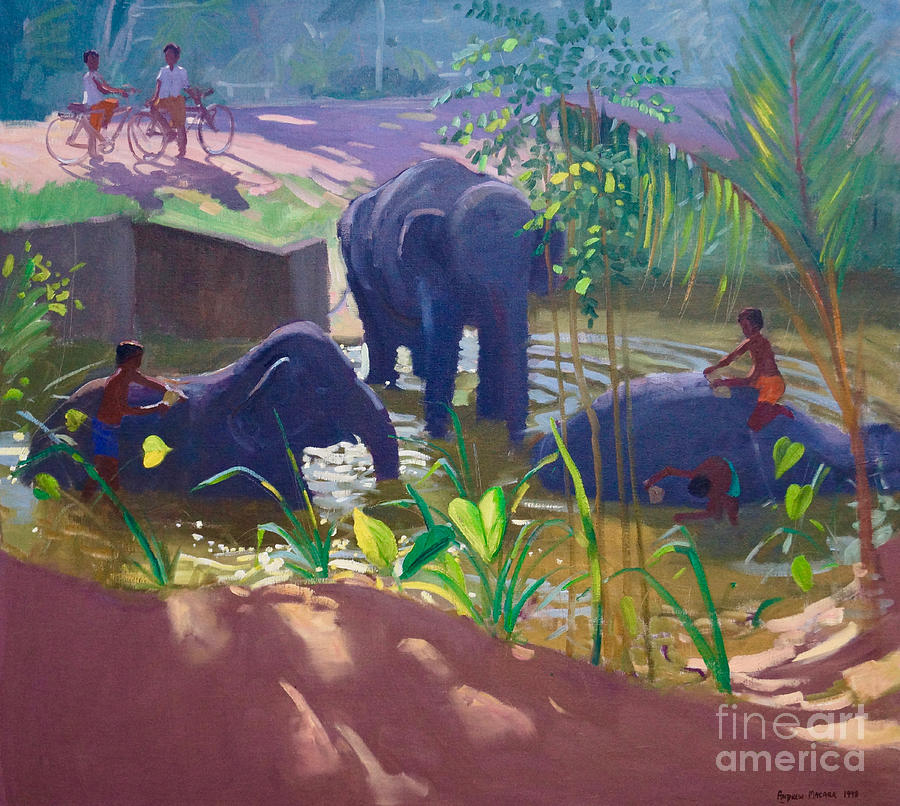 Washing Elephants, Sri Lanka Painting by Andrew Macara