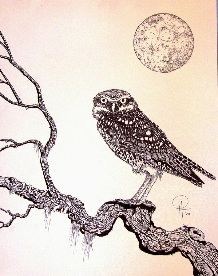 Owl Drawing - Washing the Owl by Doug Hiser