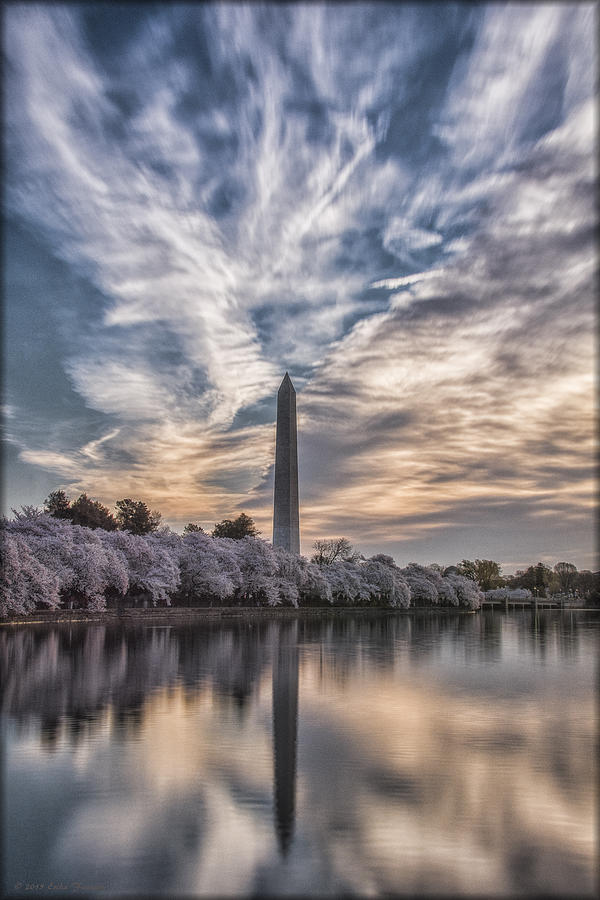 Washington Monument Photograph - Washington Blossom Sunrise by Erika Fawcett
